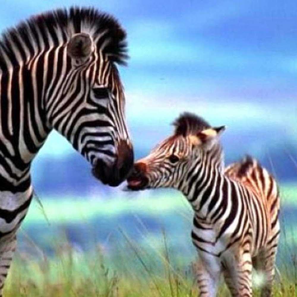 Meet your Posher, Gretchen